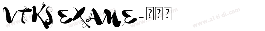 VTKS EXAME字体转换